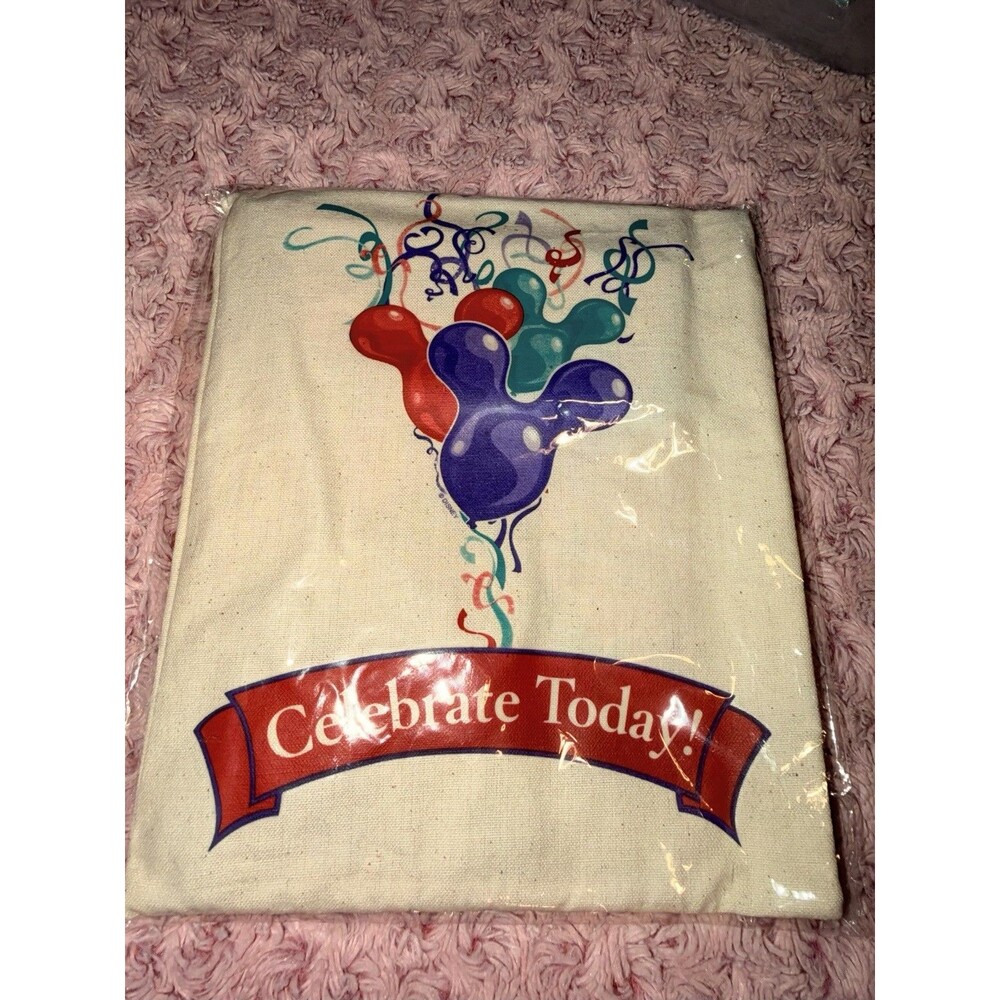 Rare Disney Parks Celebrate Today Bundle Straw Bag Poster Characters Sack